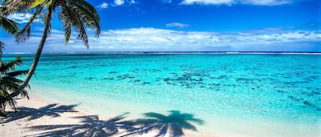 Private beach, sun-loungers, beach towels