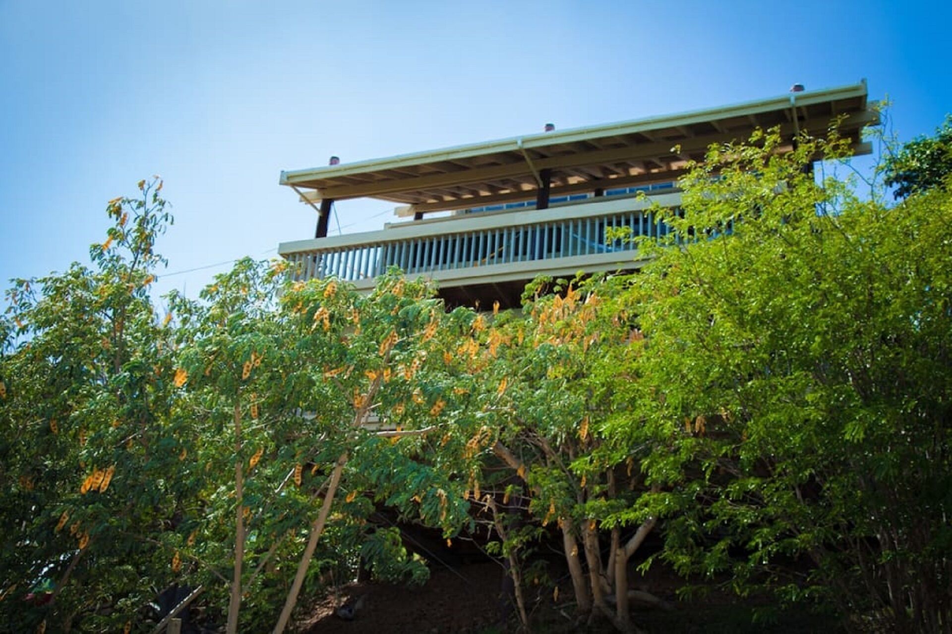 A two-story building with a balcony, surrounded by dense green foliage.