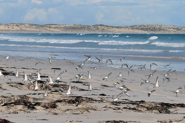 Accommodatie ligt op het strand