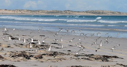 SeaChange Sceale Bay