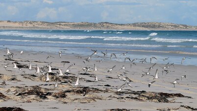 SeaChange Sceale Bay