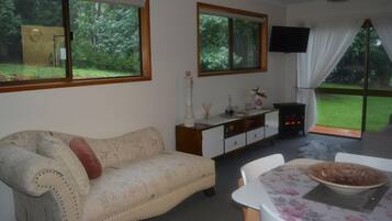 TV connectée, cheminée, lecteur de DVD, livres