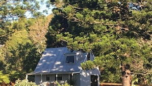 Uma casa pequena, térrea, com telhado triangular, cercada por muita vegetação e árvores.
