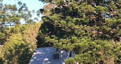 Abrazo Cottage Montville