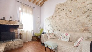 Smart TV, lareira, livros, biblioteca musical