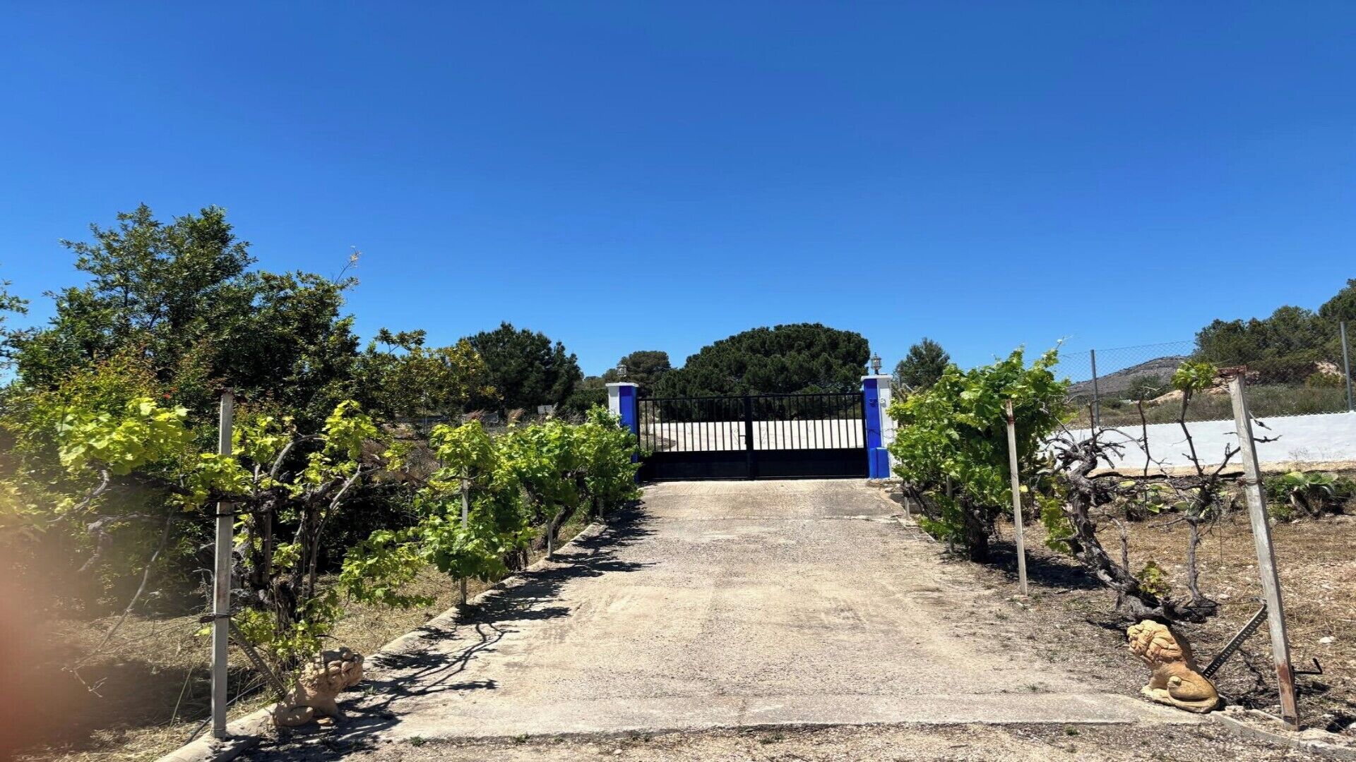 Jardines del alojamiento