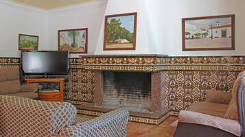 TV connectée, cheminée, lecteur de DVD, livres