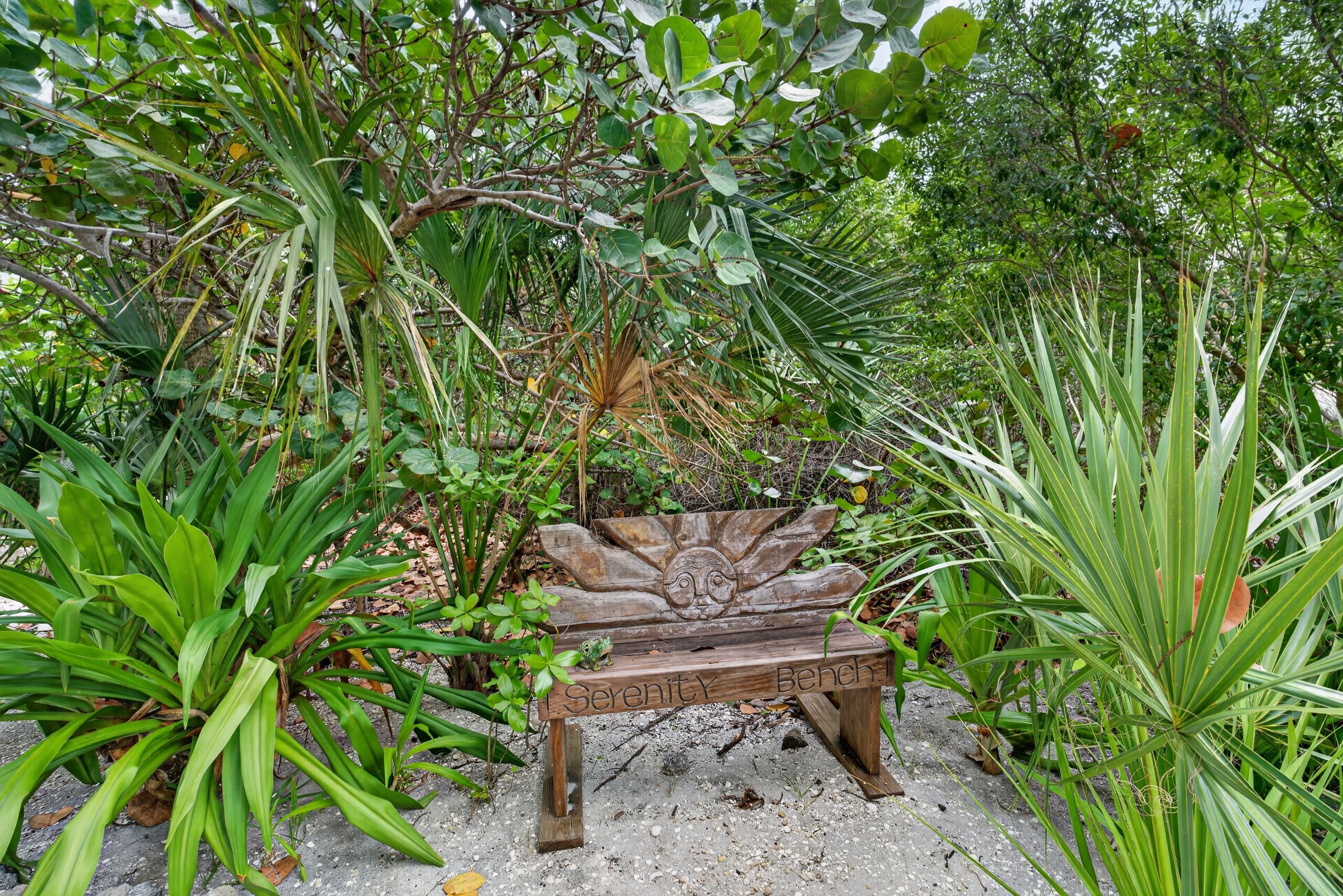 A wooden bench with 'Serenity Bench' carved into it, surrounded by lush greenery.