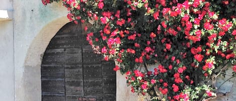 تفاصيل الفندق من الخارج