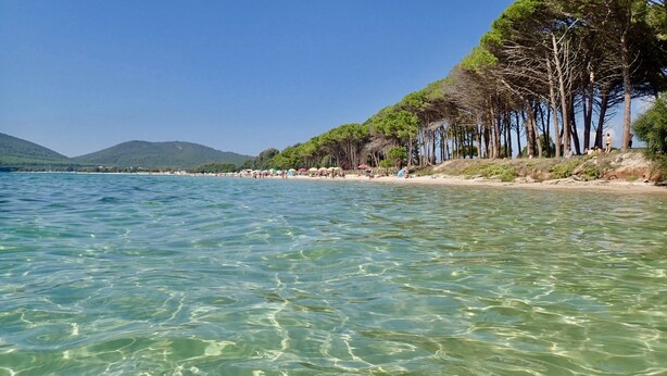 A beach with clear water, a sandy shore, and a line of trees. - attic with stunning views (Alghero)