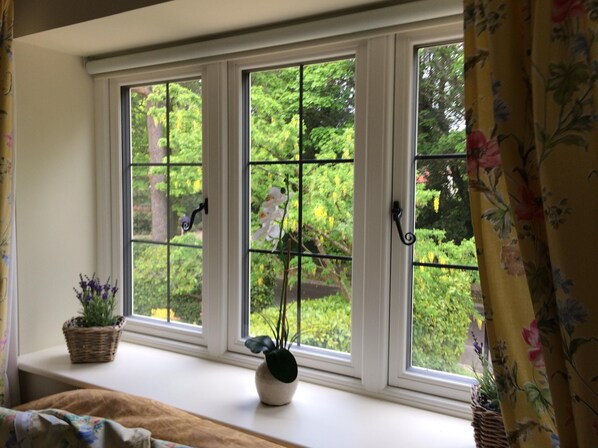 A window with three panes, a small potted plant on the sill, and a wicker basket.