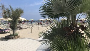 Een strand met ligbedden en parasols, een palmboom en een heldere lucht.
