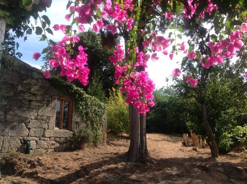 Stone Cottage Great for 2 + 1 people.