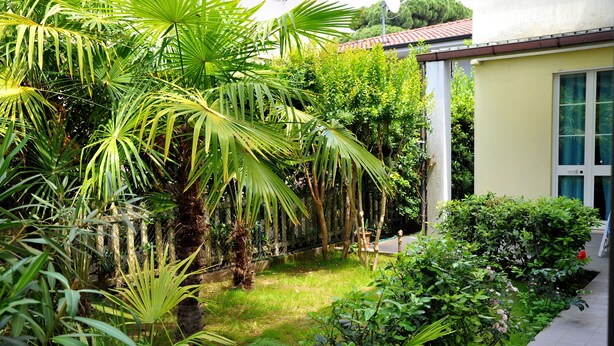Um jardim exuberante com diversas plantas e um caminho que leva a um edifício com telhado de azulejos.