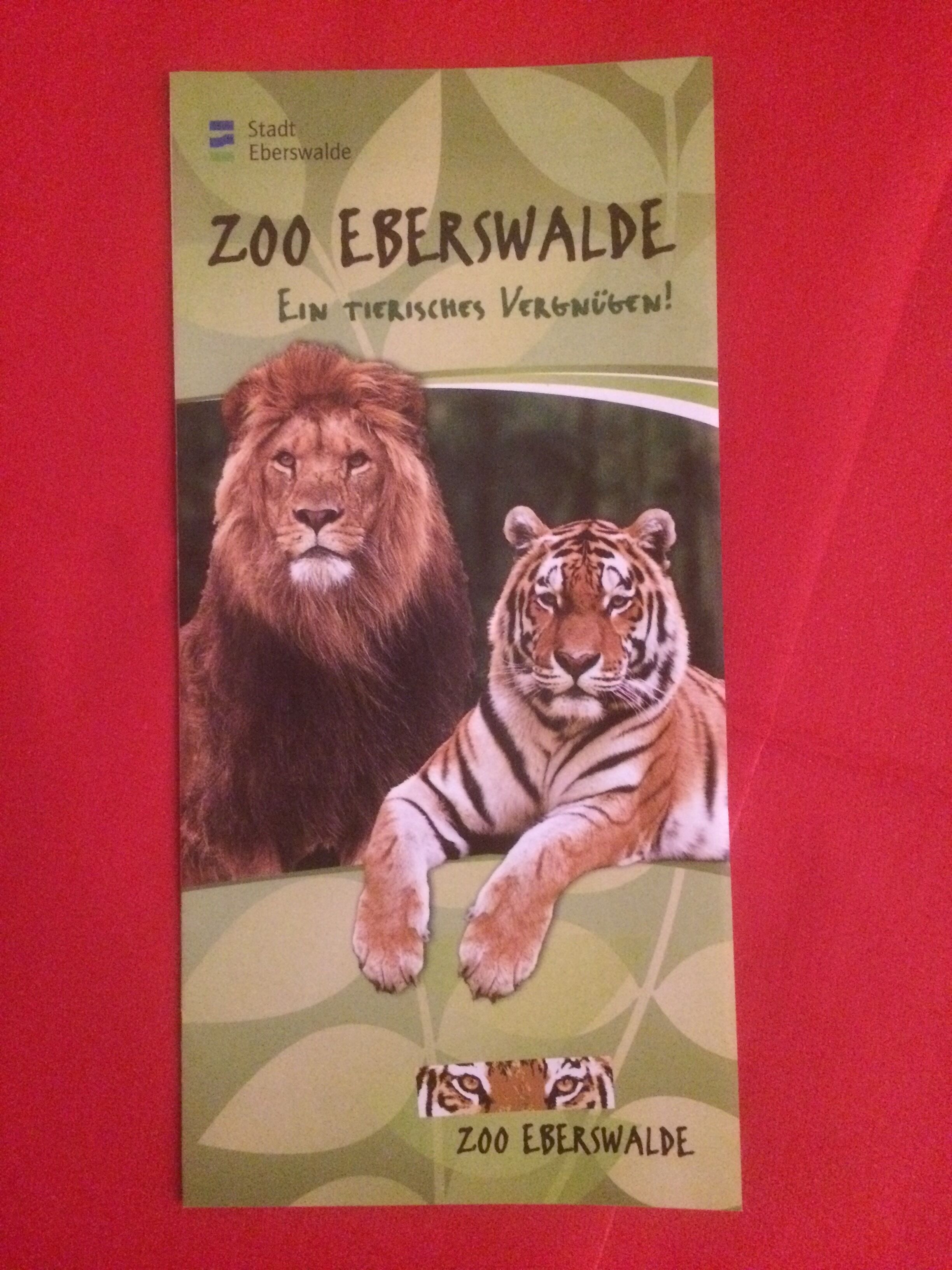 A book cover with a lion and a tiger, titled "ZOO Eberswalde".