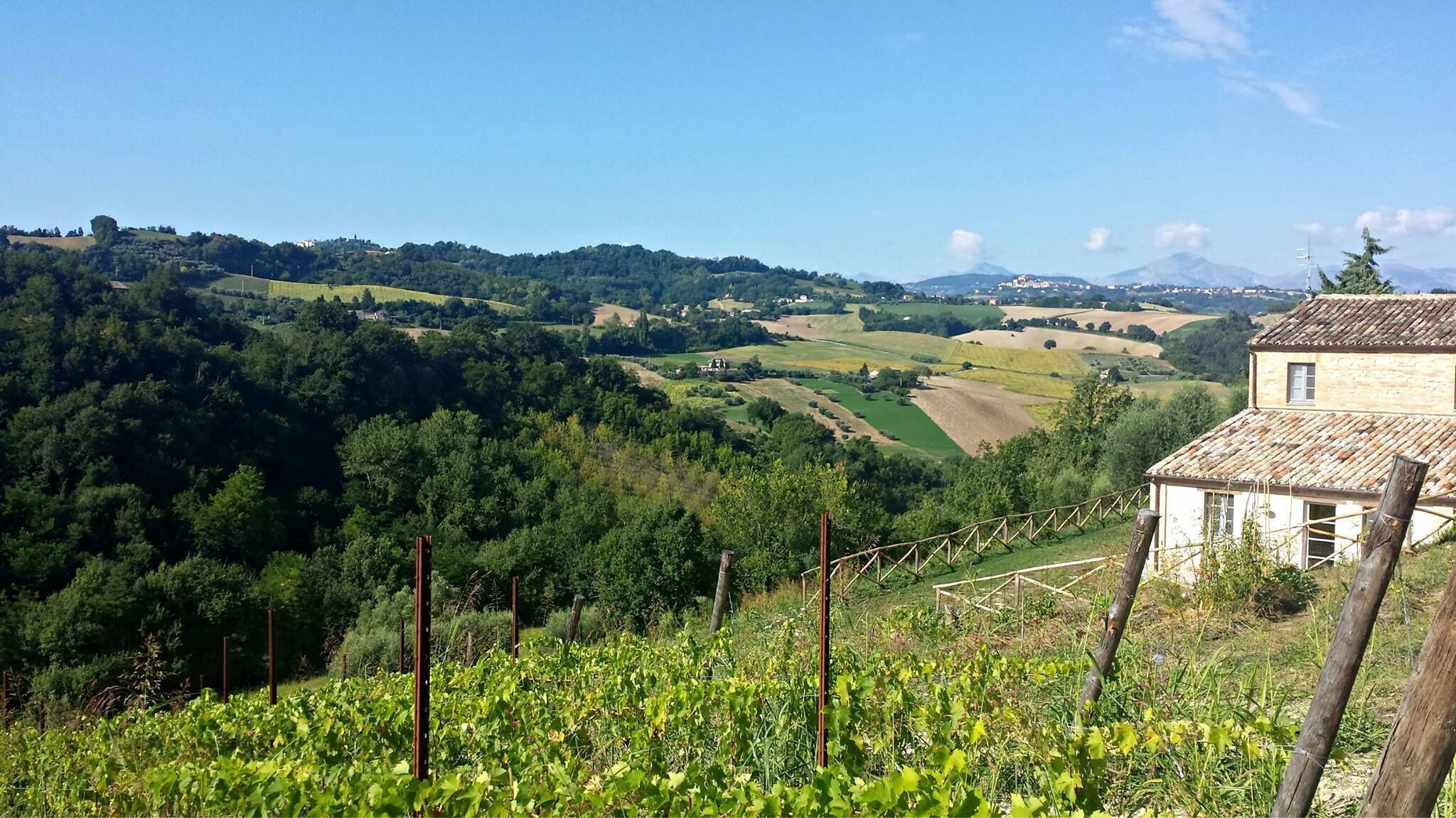 Casale Biancopecora, Sanforte house in the Marche countryside