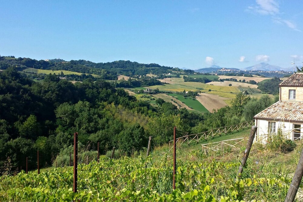 Casale Biancopecora, Sanforte house in the Marche countryside