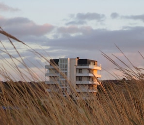 A modern building with multiple floors, surrounded by tall grass. - Design penthouse apartment on the steinwarder with its own sauna (Heiligenhafen)
