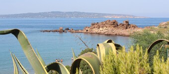 My flowery refuge in the waves