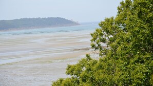 Una platja amb sorra fina i un turó boscós al fons.