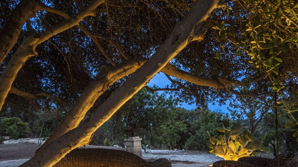Un espace extérieur aménagé pour la nuit, avec un banc en pierre et un panier en osier placé sous un arbre.