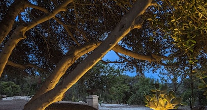 Maison Bedda .........