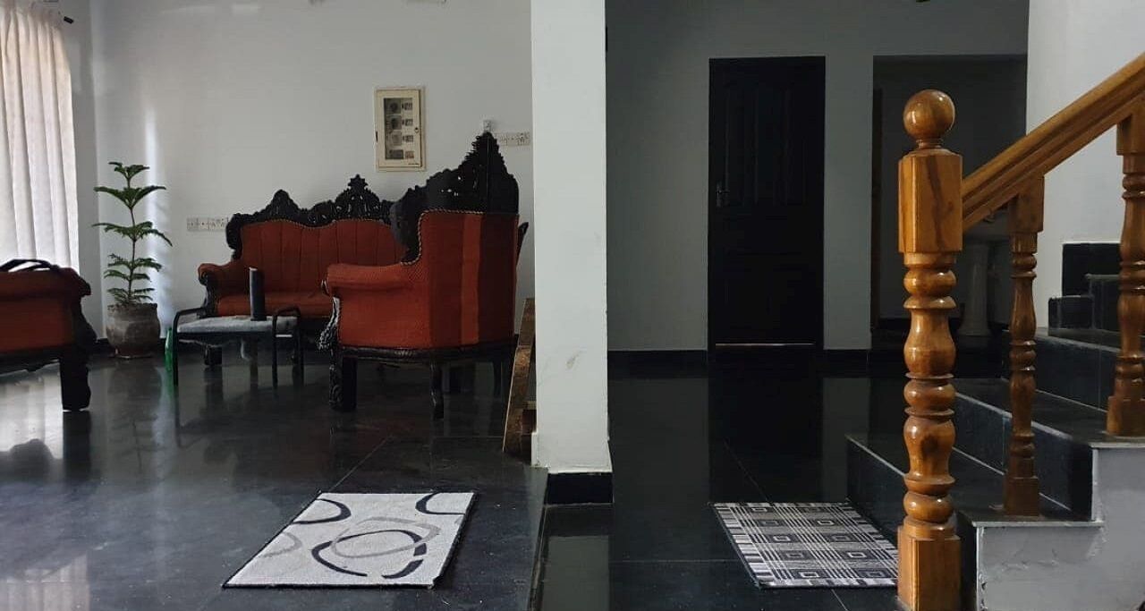 AMBER ROOM - DREAM TURTLE