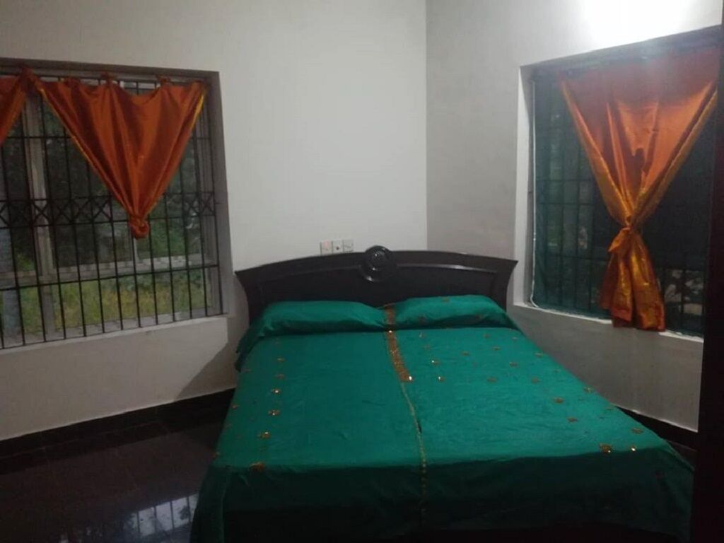 AMBER ROOM - DREAM TURTLE