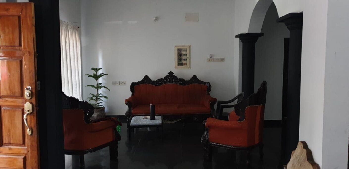 AMBER ROOM - DREAM TURTLE