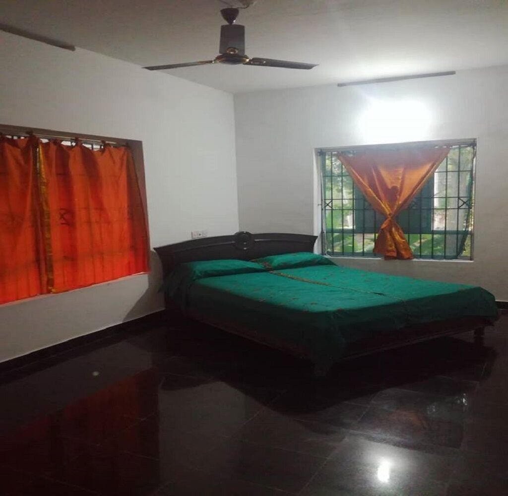 AMBER ROOM - DREAM TURTLE