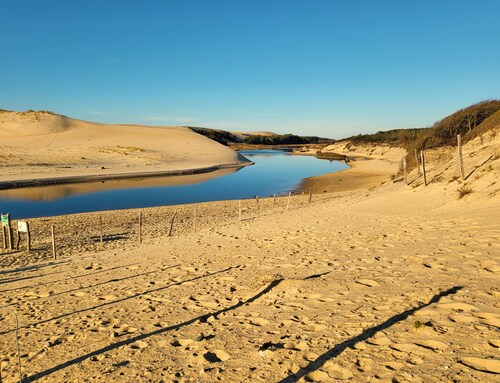 Charming little Landaise house, completely renovated, in the heart of a pretty village.