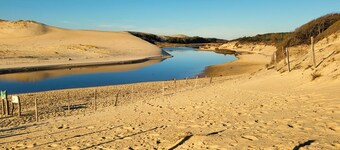 Charming little Landaise house, completely renovated, in the heart of a pretty village.