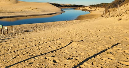 Charming little Landaise house, completely renovated, in the heart of a pretty village.