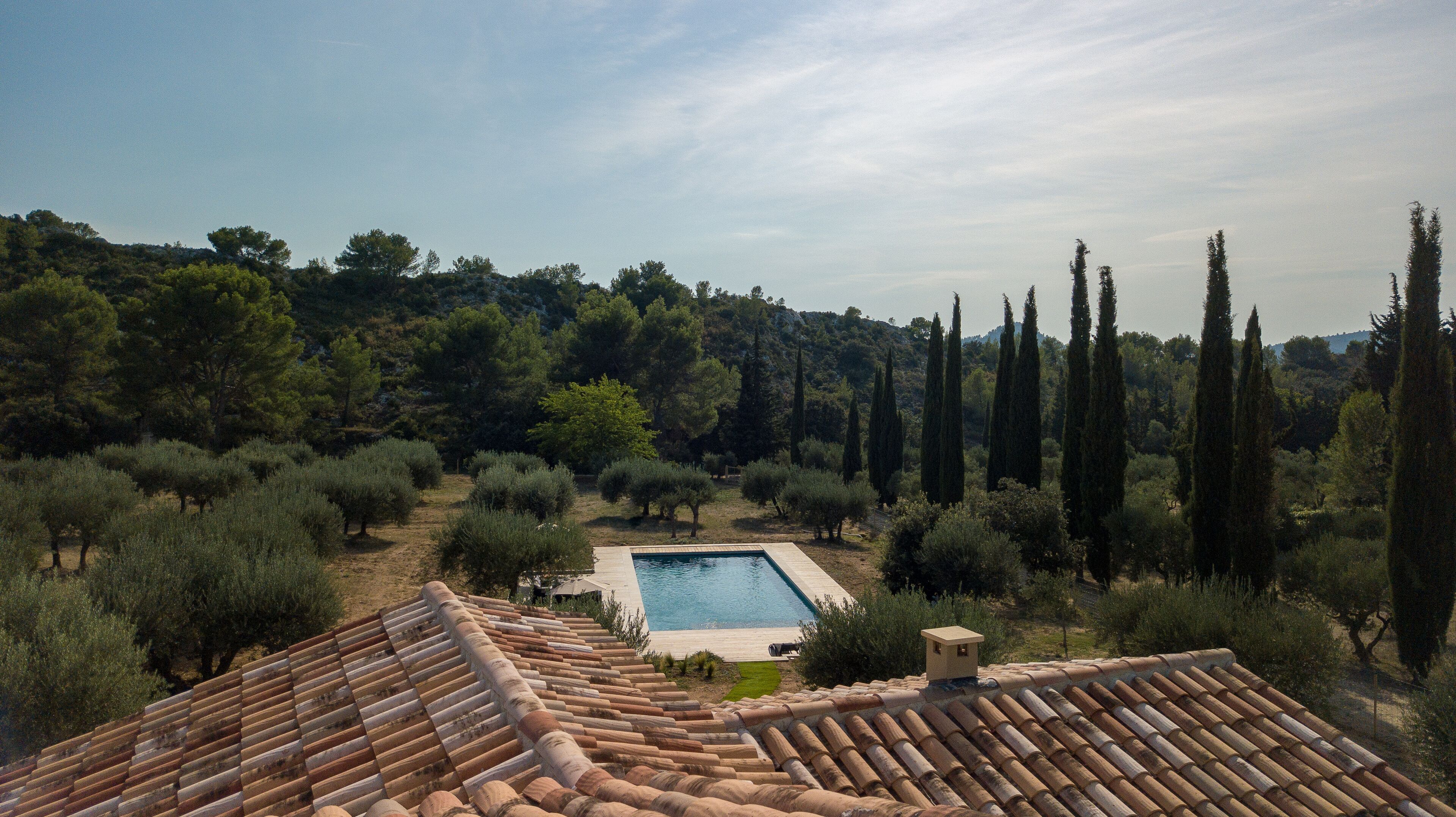 A rooftop with a swimming pool surrounded by olive trees and cypress trees.