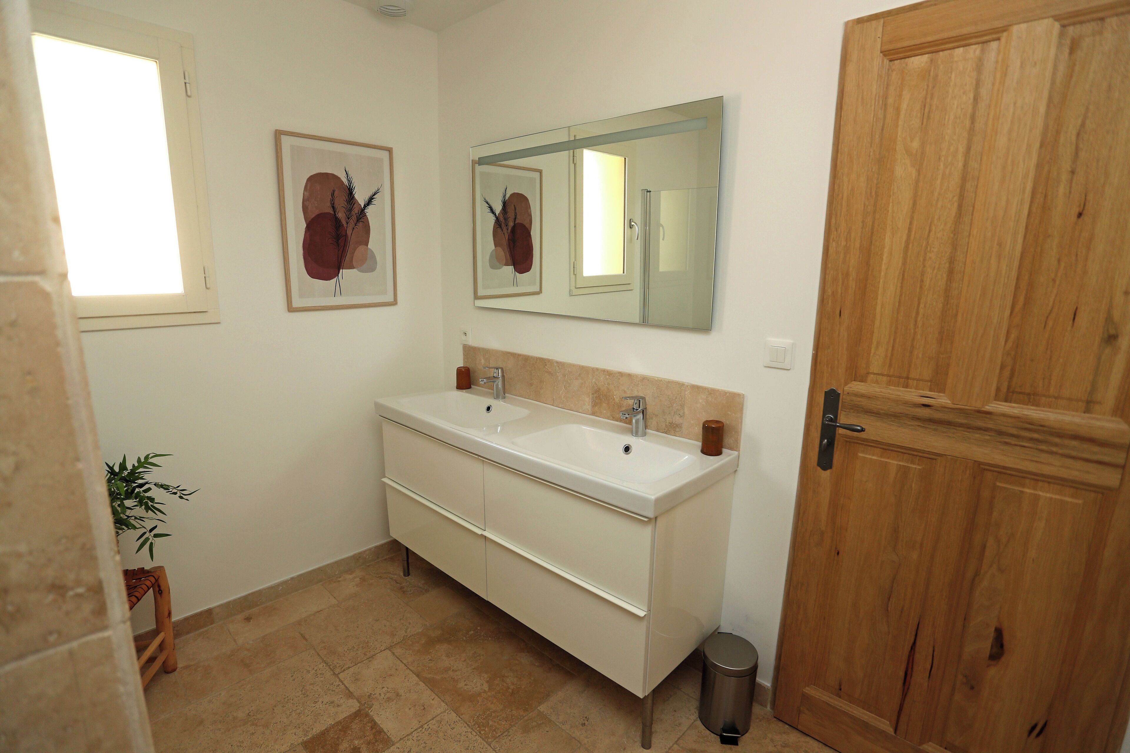 A bathroom with a double sink, a mirror, a wooden door, and a small potted plant.