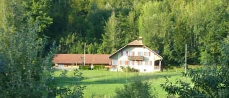 Ulkoalueet