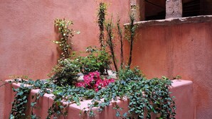 A planter with various plants and flowers against a textured wall. - Studio Vieux Lyon  (Lyon)