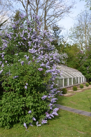 Property grounds - Château du bois de la lune (Angerville-La-Campagne)