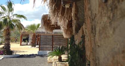 Villa Pitaya Best beach in El Sargento Lexury Palapas la Choya Ocean View.