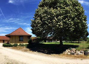 Property grounds - Comfortable holiday home with pool (5 people) (Flacey-En-Bresse)