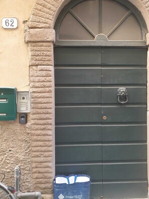 Uma porta verde escura com um aldabinha em formato de cabeça de leão, uma caixa de correio verde e uma caixa de serviços em uma parede com textura.