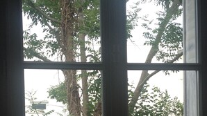 Blick durch ein Fenster mit einem Metallgeländer, einem Baum und einer Backsteinmauer.