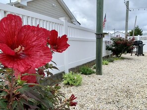 Property grounds - Seashore Charming Classic Shore House - North End Seaside Heights ML-1399 (Seaside Heights)