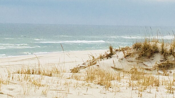 Ein Strand mit Dünen und Wellen.