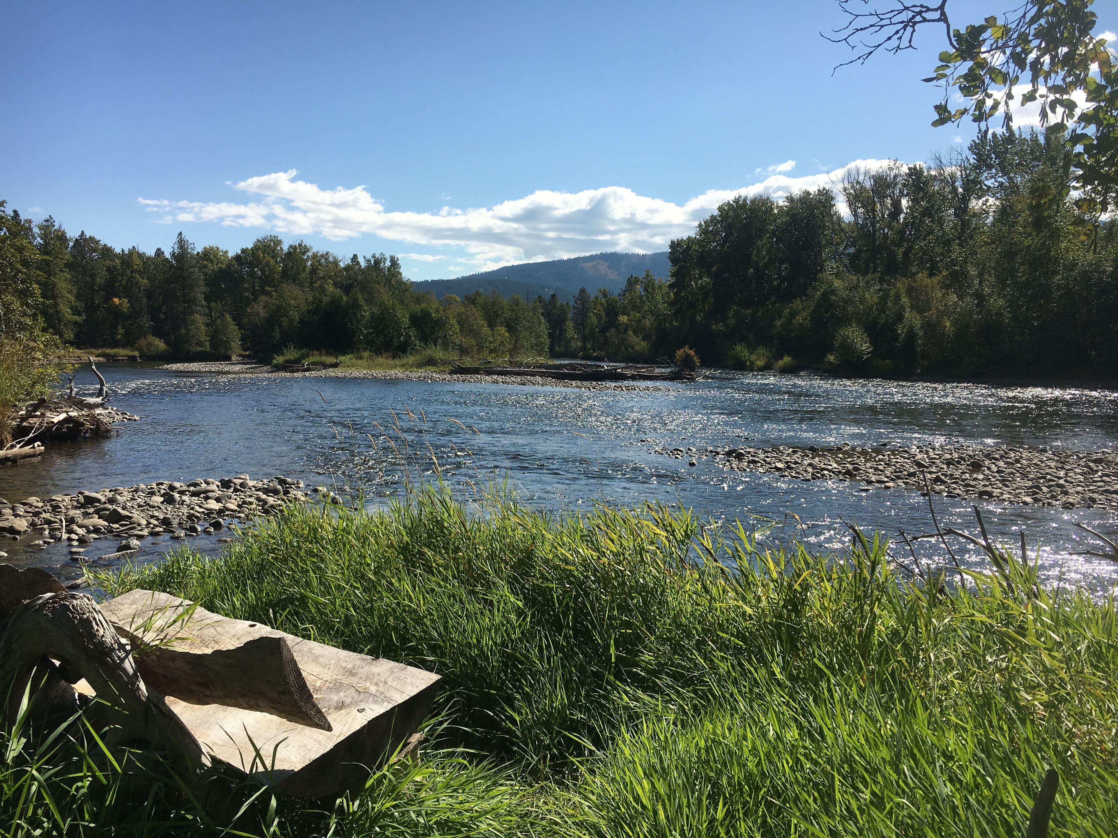 Brook Trout Lodge - 20 Acre Estate with Hot Tub