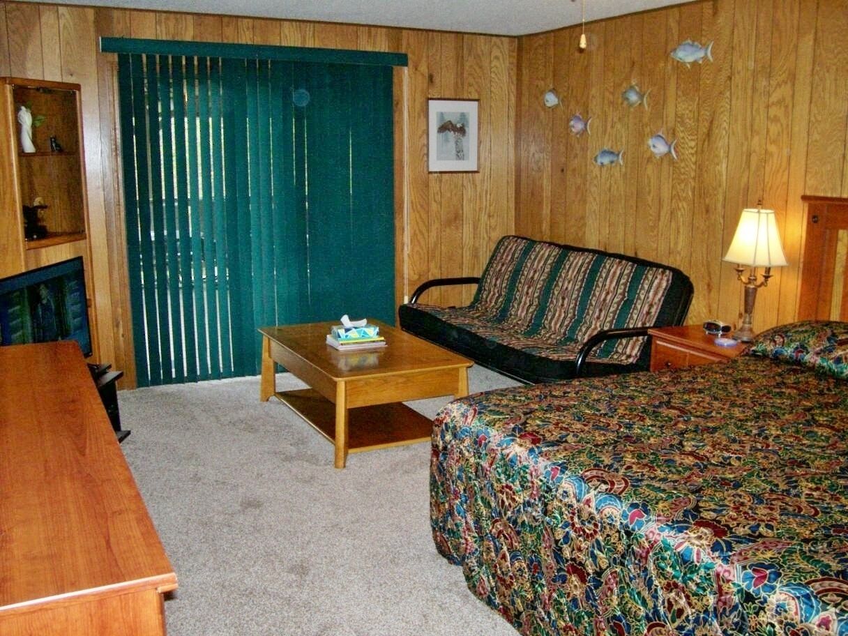 Norfork Lake View Home-Walk to Waters Edge! Affordable Luxury.