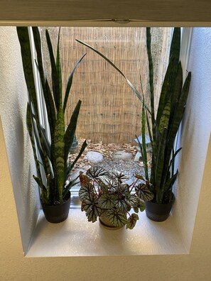 Una ventana con tres macetas y plantas.