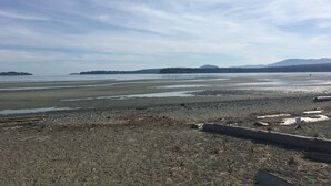 A beach with a rocky foreground and distant mountains under a cloudy sky. - Starfish Cottage - Oceanside Village Resort (Parksville)