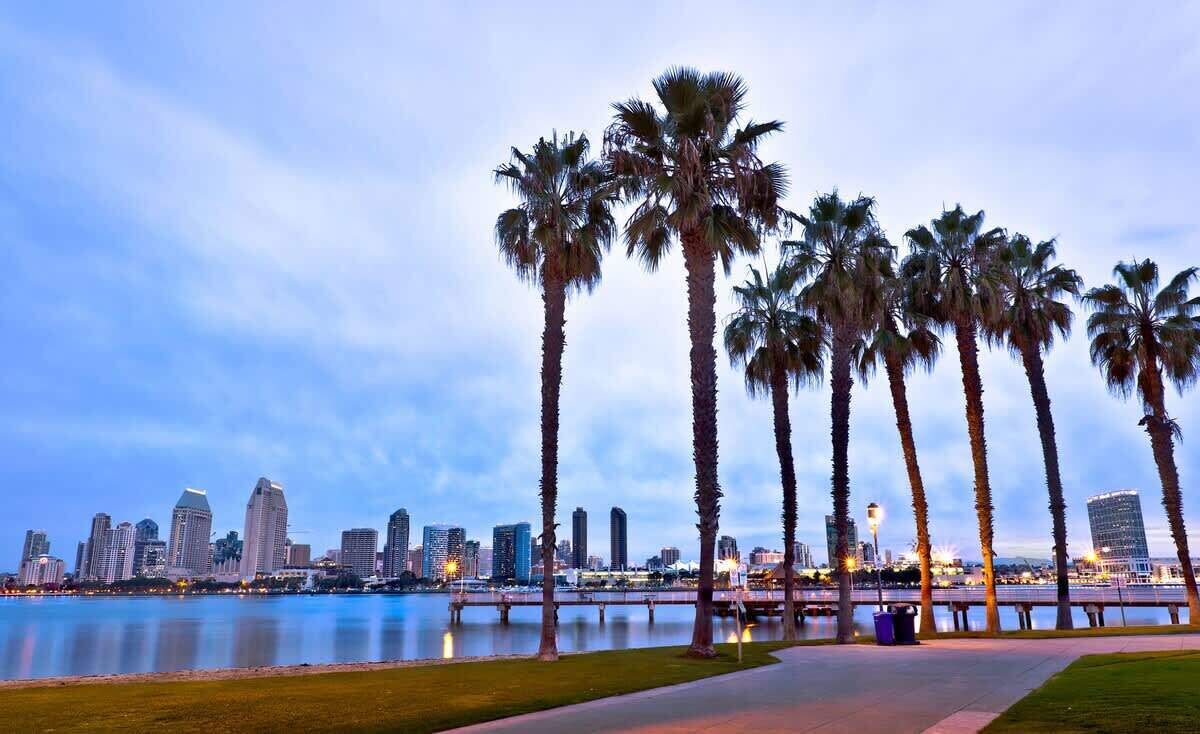A city skyline with tall buildings, palm trees, and a body of water.