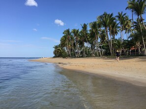 A beach with clear water, palm trees, and a person walking.
